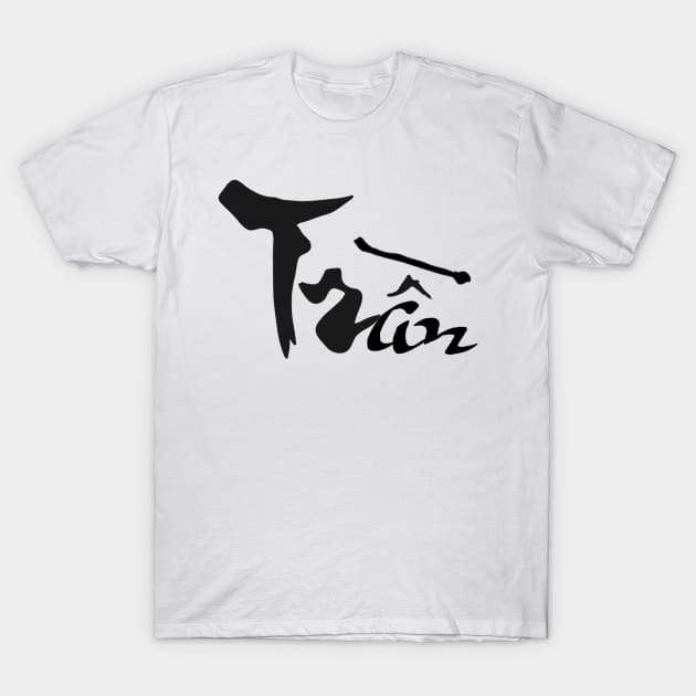 Tran Viet Last Name Calligraphy Art T-Shirt by AZNSnackShop
